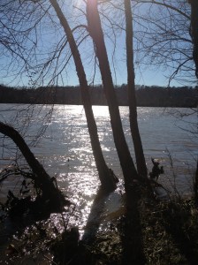 PurposefulPraise 011