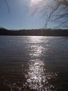 PurposefulPraise 013