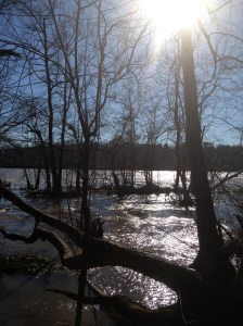 PurposefulPraise 017