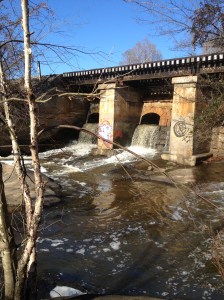 PurposefulPraise 020