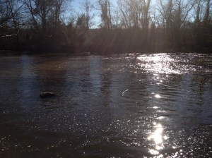 PurposefulPraise 042