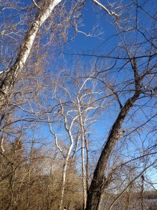 PurposefulPraise 045