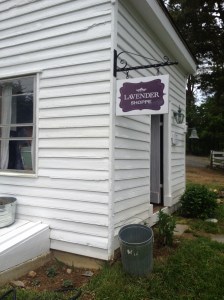 wowpicnic&LavendarTrip 026