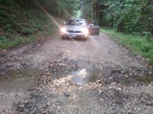 wowpicnic&LavendarTrip 041