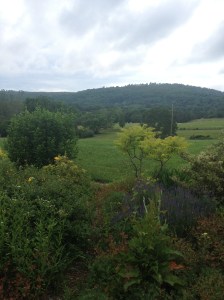 wowpicnic&LavendarTrip 047