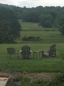 wowpicnic&LavendarTrip 049