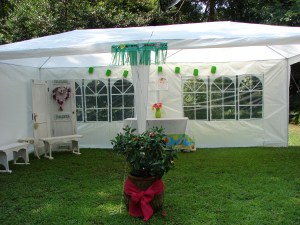 MomsCameraIncludesEngagementParty 185