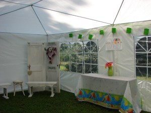 MomsCameraIncludesEngagementParty 186