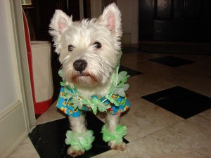 MomsCameraIncludesEngagementParty 190