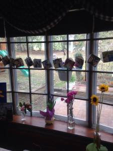 1902883_10152684377700925_5706589431601843645_n