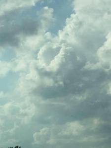 13346682_629305923885844_5024304843683744986_n