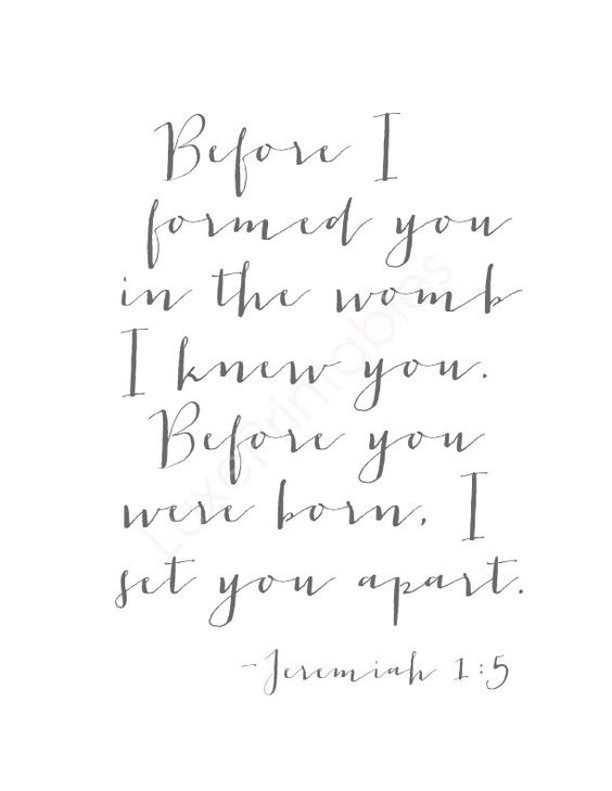 40ef1cb23eba77f9bf2d5bed2183ae19