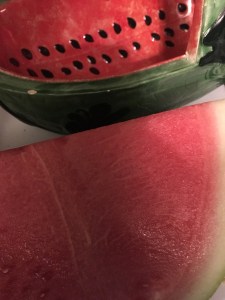 August 3 Includes Food pictures of salsa 021