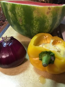 August 3 Includes Food pictures of salsa 022