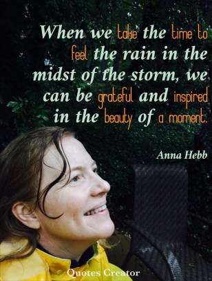 annahebbrainquote